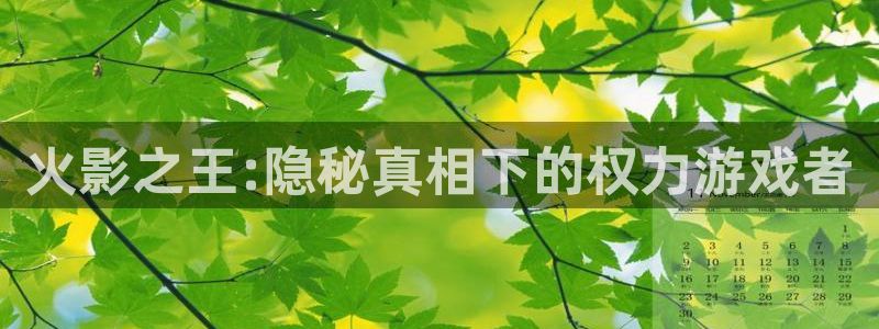 奇漫屋免费漫画官网